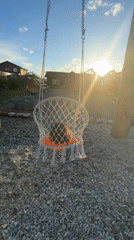 Sunset swing session in a Kempelevo backyard