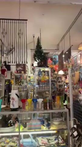 The camera pans slightly through a cluttered antique shop. Various shelves and display cases contain an assortment of items, including glassware, toys, bags, and decorative objects. A small artificial Christmas tree sits atop one of the displays. A black beaded curtain hangs from the ceiling, obscuring some of the background. The shop appears well-lit with a mix of natural and artificial light. There are no people visible in the frame.