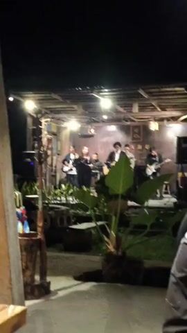 A live music performance is taking place outdoors at night. A band of six people are on a raised wooden stage under a thatched roof, illuminated by several bare light bulbs. Three members are holding guitars, one is playing a keyboard, and one is singing into a microphone. Another band member is visible behind the singer, possibly playing drums or another instrument. Smoke or fog is present on the stage, creating a dramatic effect. In front of the stage, there are several potted plants, including a large plant with broad leaves in the foreground. To the left of the stage, there are wooden posts and some colorful items hanging on a rack. In the foreground, the back of a person's head and shoulder is visible, suggesting they are an audience member. The overall atmosphere appears casual and intimate, possibly at a restaurant or cafe.