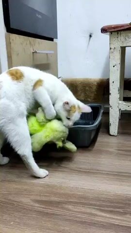 A white cat with brown spots is batting a green stuffed animal into a gray litter box. The litter box is sitting on a wooden floor next to a white wall and a white wooden stool. Behind the litter box are a kitchen cabinet and a brown mat.