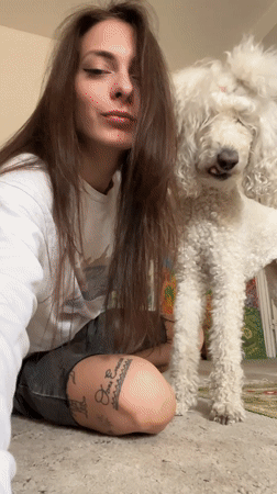 Lazy afternoon at home with a white poodle in Krasnoyarsk
