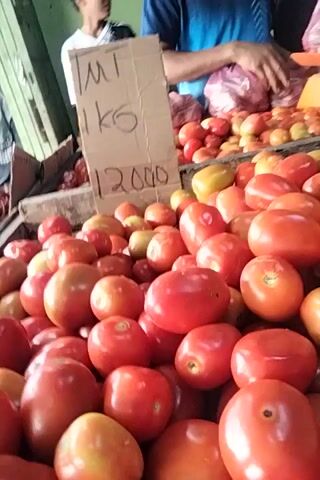 The video shows a close-up of a large pile of tomatoes at a market stall. The tomatoes are red and some have yellow or green spots. A cardboard sign is partially visible with writing that appears to say "1KG" and "12000" which could indicate a price. Behind the tomatoes, there are bags of other produce, possibly chilies, and a scale. A person's arm and shoulder are visible on the left side of the frame. The lighting suggests it is daytime.