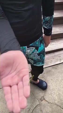 A close-up shot shows a person's left hand, palm up, with a small, thin green insect, likely a praying mantis nymph, resting on their palm. The insect is facing towards the right side of the frame. The person is wearing a black long-sleeved shirt with blue and white patterned shorts over black leggings and navy blue Crocs. The background is slightly out of focus, showing a stone pathway and wooden steps. The video appears to be filmed outdoors in daylight.