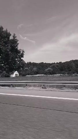 This is a black and white, low-resolution video clip from a moving vehicle, likely a car, traveling on a highway. The scene captures a rural landscape with rolling hills covered in trees and vegetation. A prominent white house with a gabled roof is visible on one of the hills, surrounded by greenery. There are also scattered smaller buildings or houses further up the hillside, suggesting a small village or settlement. A highway guardrail runs parallel to the road in the foreground, with lane markings visible on the asphalt. A large tree branch extends into the frame from the right side, blurred due to the motion. The sky is overcast, indicating a cloudy day, and the overall mood is somewhat melancholic due to the monochrome palette and the blurred, transient nature of the footage. No specific time of day can be determined, but it appears to be daytime. The location is identified as Winterbach, Germany. No people are clearly visible, nor is any text present in the video. The activity is simply the act of traveling through this landscape.