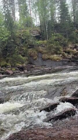The video shows a rocky river flowing through a forest. The water is clear and moving quickly, creating small waterfalls as it flows over the rocks. The banks of the river are covered in trees and moss. The sky is overcast.