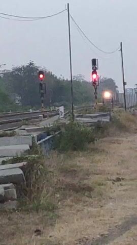 The video shows a railroad crossing with two signal lights. Both lights are displaying red signals, indicating that trains should stop. The tracks are visible, as is some vegetation and concrete barriers. The sky appears overcast. In the distance, a train is approaching the crossing. The video is shot from a low angle.