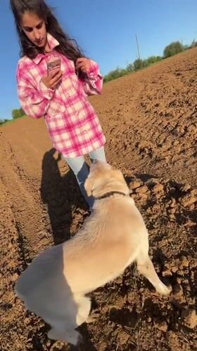 Woman photographs with dog in Bulgarian countryside field