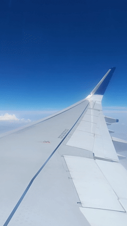Passenger Documents Flight Views Over New Delhi During Morning Departure