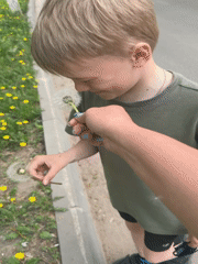 Spring moments captured in Dmitrov: dandelion wishes and scooter rides