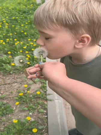Spring moments captured in Dmitrov: dandelion wishes and scooter rides