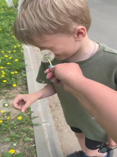 Spring moments captured in Dmitrov: dandelion wishes and scooter rides