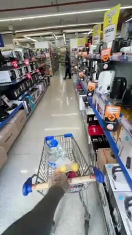 A first-person perspective shows a person pushing a shopping cart down an aisle in what appears to be a department store. The cart contains a large bottle of water and some produce. The shelves on either side of the aisle are stocked with small appliances, such as toasters, blenders, and mixers. A person wearing a black and white shirt, white shorts, and a baseball cap walks down the aisle in the opposite direction. The floor is light-colored tile.