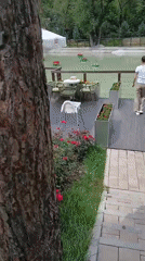 Almaty park in summer: flowers, waterside gazebo, outdoor dining