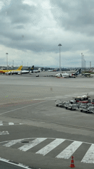 Morning tarmac operations recorded at Sofia Airport