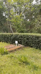 Wildlife spotted at Vietnamese resort grounds in Da Lat