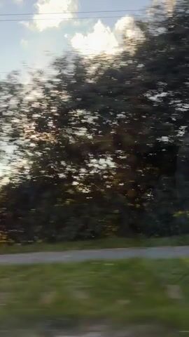 The video shows a view from a moving vehicle, looking out the window at trees, power lines, and the sky. The sun is visible and shining brightly, creating lens flares in the footage. The trees are dense and green, with some sunlight filtering through the leaves. The ground is also visible, with a road or path running along the side. The sky is blue with scattered white clouds. The motion of the vehicle causes the scenery to blur, creating a sense of speed and movement.