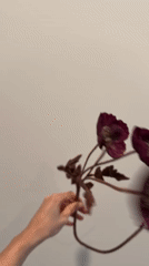 Individual handles flowers, views Manhattan skyline and arena artwork
