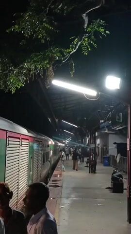 A train is stopped at a platform at night. The platform is lit by fluorescent lights and other lamps, casting long shadows. Several people are visible on the platform, some walking and some standing. The train has green and red accents and appears to be at a station. Trees overhang the platform.