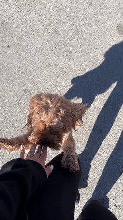 Woman plays with small dog in Bulgarian village