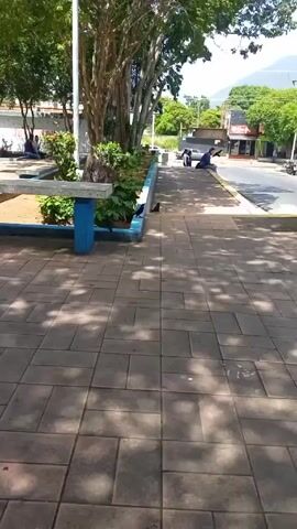 The camera pans through a sunny public square paved with square gray tiles. There are trees scattered around the square, casting shadows across the paving stones. Several concrete benches with blue supports are present, some with flowerbeds behind them. A few people can be seen sitting or moving in the background. One bird is seen hopping around. A road with a small amount of vehicular traffic runs along one side of the square. Buildings are visible across the road.