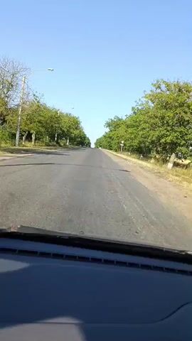 The video shows a first-person view from inside a vehicle driving on a paved road. The road is lined with trees on both sides, creating a canopy effect. The sky is clear and blue. There are some traffic signs visible on the side of the road, including a yield sign. The vehicle appears to be moving at a moderate speed. The overall environment appears to be rural or suburban. There are no people or other vehicles visible in the immediate vicinity.