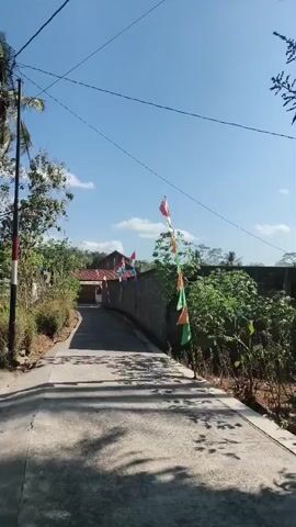 The video shows a street with a concrete road. There are trees and vegetation on both sides of the road. Flags are attached to a wall on the right side of the road. The sky is clear and blue. The sun is shining and casting shadows on the road. There is a house visible in the distance. The video appears to be recorded from a moving vehicle.