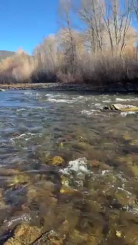 The video shows a clear, flowing river with rocks visible beneath the surface. The water appears to be moving quickly, creating small whitecaps.  The riverbanks are lined with trees and brush, mostly without leaves, suggesting it might be autumn or winter. The sky is clear and blue. The focus is on the natural scenery and the movement of the water.