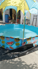 Domestic scenes and gardening activities documented in Tinaquillo, Venezuela