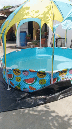 Domestic scenes and gardening activities documented in Tinaquillo, Venezuela
