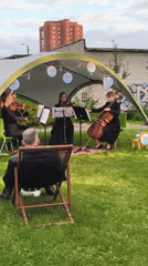 Outdoor string quartet concert on a Tallinn lawn, late summer evening