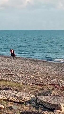 A person in dark shorts and an orange shirt is standing in the shallow water at the edge of a body of water. They appear to be holding something and looking towards the water. There is a rocky beach in the foreground and the water extends to the horizon under a cloudy sky.