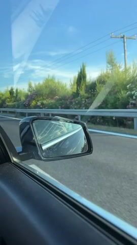 The video shows a view from the passenger seat of a moving car. The camera is focused on the side mirror, which reflects the passing scenery of a highway. The mirror shows some dirt and streaks. Beyond the mirror, a green roadside with various trees and bushes, some with pink and yellow flowers, is visible. A guardrail runs along the side of the road. The sky is blue with some wispy clouds. Power lines and a utility pole are also visible in the distance. The interior of the car, including the door panel and window frame, is visible in the foreground. The video appears to have been filmed during the daytime.