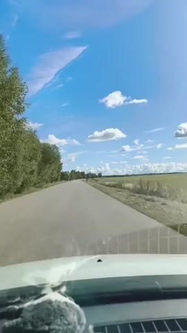 The video shows a view from inside a car driving on a paved road through a rural landscape. The sky is bright blue with scattered white clouds, and the sun is shining. To the left of the road, there is a dense line of green trees. To the right, there are fields of dry grass and some distant trees. The interior of the car's dashboard is visible in the foreground, including a dashboard mount and a fluffy accessory. The road appears to be empty except for the car from which the video is recorded. The camera is angled slightly upwards, capturing the expanse of the sky and the horizon.