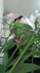 Person peers through flower bouquet in Noviy, Russia