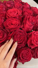 Person handles red rose bouquet in Zav'yalovo, Russia