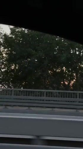 Golden sunset over Riga, framed through a moving car window