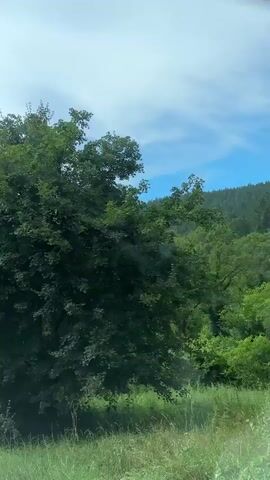 The video shows a view from a moving vehicle. The camera is pointed out a window, capturing a blurry image of lush green trees and foliage. The scene appears to be a rural or natural setting, with the road visible in the foreground. Sunlight filters through the leaves, creating a dappled effect. The sky above is partly cloudy with patches of blue. The footage is shaky, indicating the vehicle is in motion. The sound suggests there might be music playing, although it is not clearly identifiable.