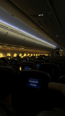 Dimly lit passenger airplane cabin observed over New York
