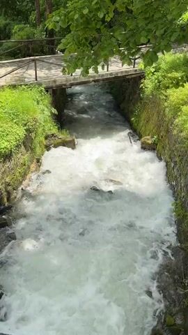 The video shows a stream flowing rapidly through a narrow channel lined with stone walls and lush greenery. A small wooden bridge with a simple railing spans the stream overhead. The water is foamy and white, suggesting a strong current. The surrounding environment appears to be a park or wooded area, with trees and dense vegetation visible on either side of the channel. The scene is bright and sunny.