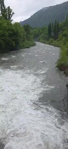 The video shows a wide, fast-flowing river from an elevated perspective, possibly a bridge. The water is turbulent with a mix of grey and white frothy patches. Lush green trees line both banks of the river, and a forested mountain rises in the background under a cloudy sky. There are no visible people or animals in the shot. The camera remains static throughout the video.