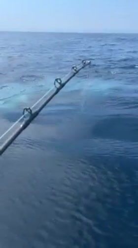 Fishing rod observed over ocean waters near Cataract