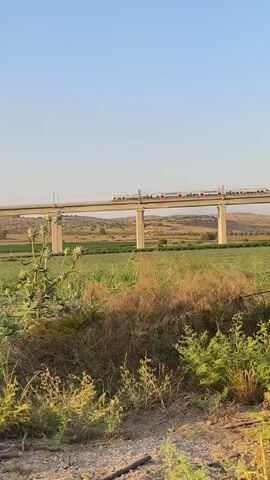 A train passes over an elevated bridge, with fields and hills in the background under a clear sky. In the foreground, there are green and brown plants.