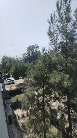 Summer morning in Dushanbe: food, greenery, and street life