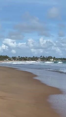 A wide shot shows a tropical beach with brown sand in the foreground. Gentle waves lap at the shore, and further out, larger waves are breaking. In the background, a line of palm trees separates the beach from a few buildings. The sky is blue with scattered white clouds. The video is silent.