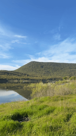 Dawn lake views captured in Asparuhovo, Bulgaria