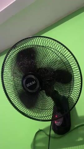 The video shows a close-up shot of a black oscillating wall fan mounted on a bright green wall. The fan is in operation, with its blades spinning, creating a slight blur. The brand name "SEKAI" is visible on the center of the fan. A red indicator light is also visible on the fan's motor housing. A dark electrical cord extends downwards from the fan, attached to the wall. The upper portion of the frame shows a white ceiling. The overall impression is a functional household appliance in use.
