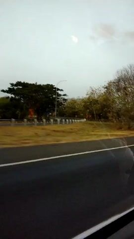 The video captures a roadside view from a moving vehicle. The foreground shows a dark asphalt road with a white line dividing lanes. To the left of the road, a grassy shoulder is visible, bordered by a low, yellowish guardrail. Beyond the guardrail, a cluster of trees, one larger and darker than the others, stands prominently. A streetlamp rises behind the trees. The middle ground features more trees, some with bare branches, and further on, a slightly elevated area with more vegetation. The sky above is overcast and pale, with a faint, indistinct shape that could be a cloud or a distant light source. The overall impression is of a somewhat muted, possibly early morning or late afternoon scene on a highway or main road. No people are visible.