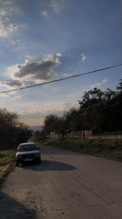 Witnesses document cat encounters in rural Avren, Bulgaria