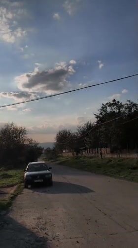 Witnesses document cat encounters in rural Avren, Bulgaria