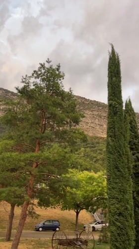 Panning shot across a pine-framed mountain landscape under clouds